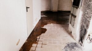 Top 10 Causes of Water Damage and How to Prevent Them | By Green Water & fire Inc