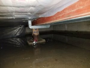 Emergency Water Restoration Services in Chicago, Illinois - Green Water & Fire Inc.