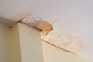 Ceiling Water Damage