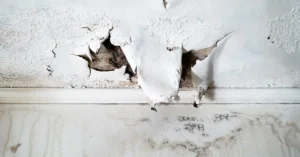 Water Damage Repair Cost