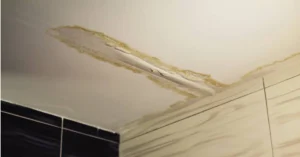 What is Water Intrusion: A Beginner's Guide